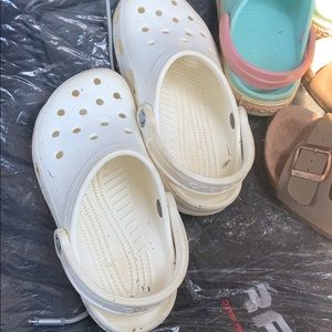 Meet your Posher, Lucy